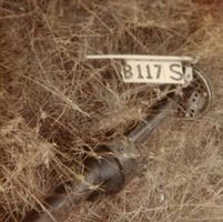 Palle-Eriksson-SouthAfrica (43).jpg