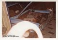 Thumbnail for version as of 06:56, 25 May 2025
